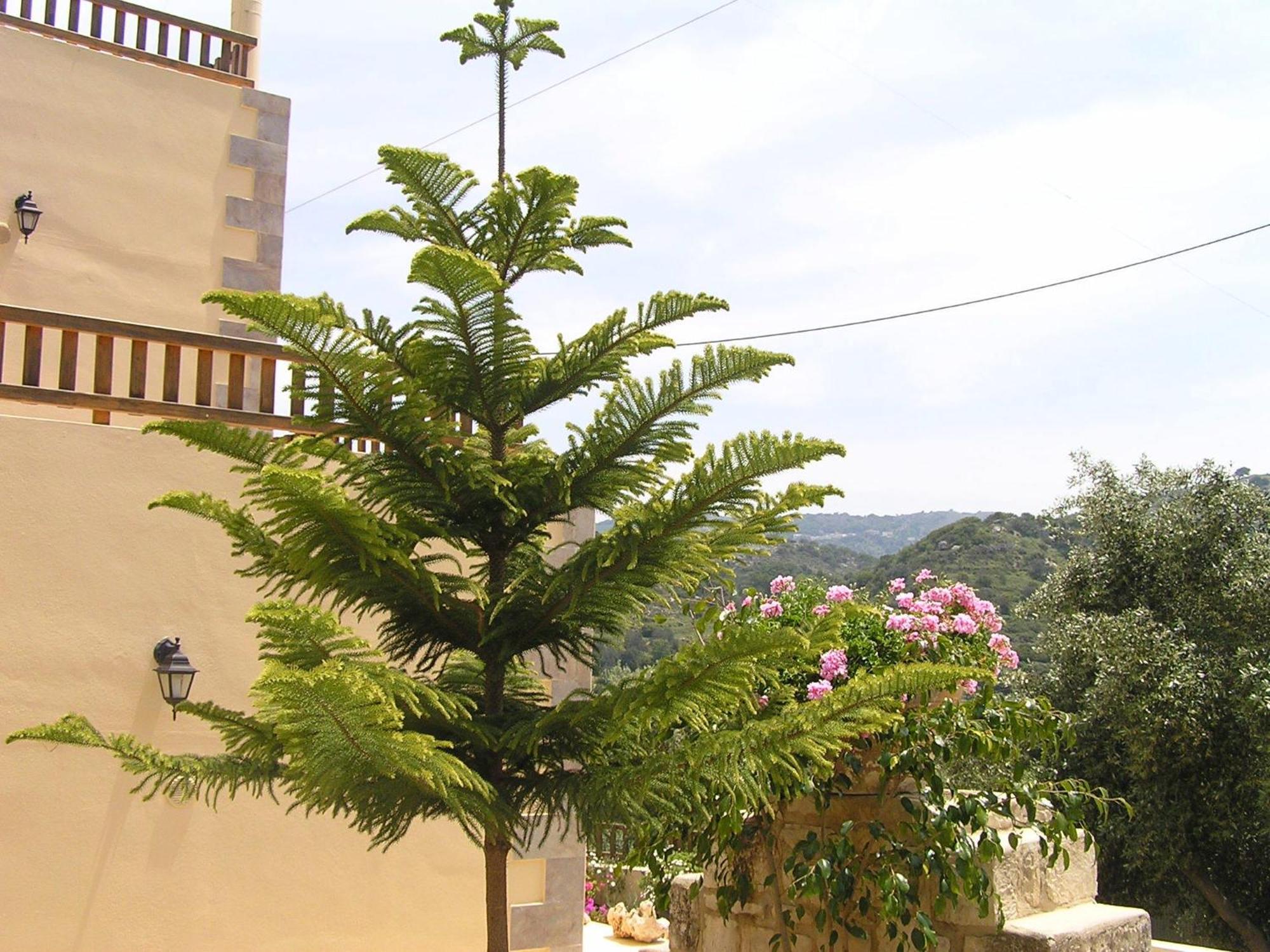 Stratos Villas Kaloniktis エクステリア 写真